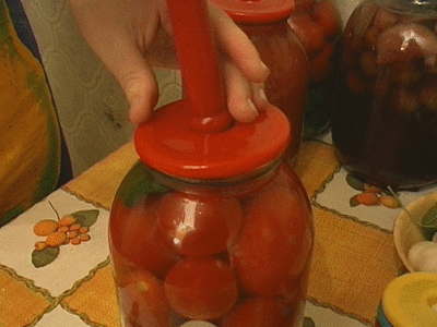 Вакуумная система "Вакс" (9 крышек + насос)